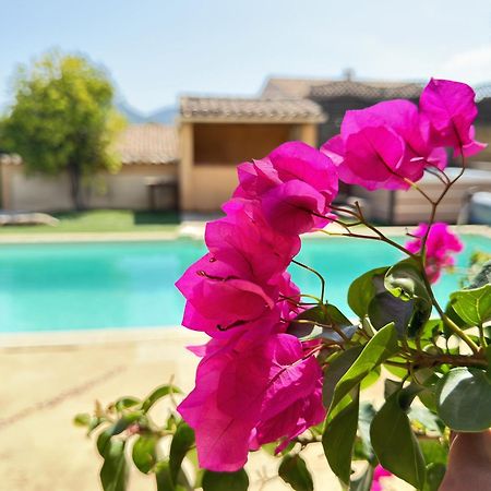 2 Hebergements - 10 Couchages - Parking, Piscine, Jacuzzi - Convivialite Roquebrune-sur Argens Exteriér fotografie