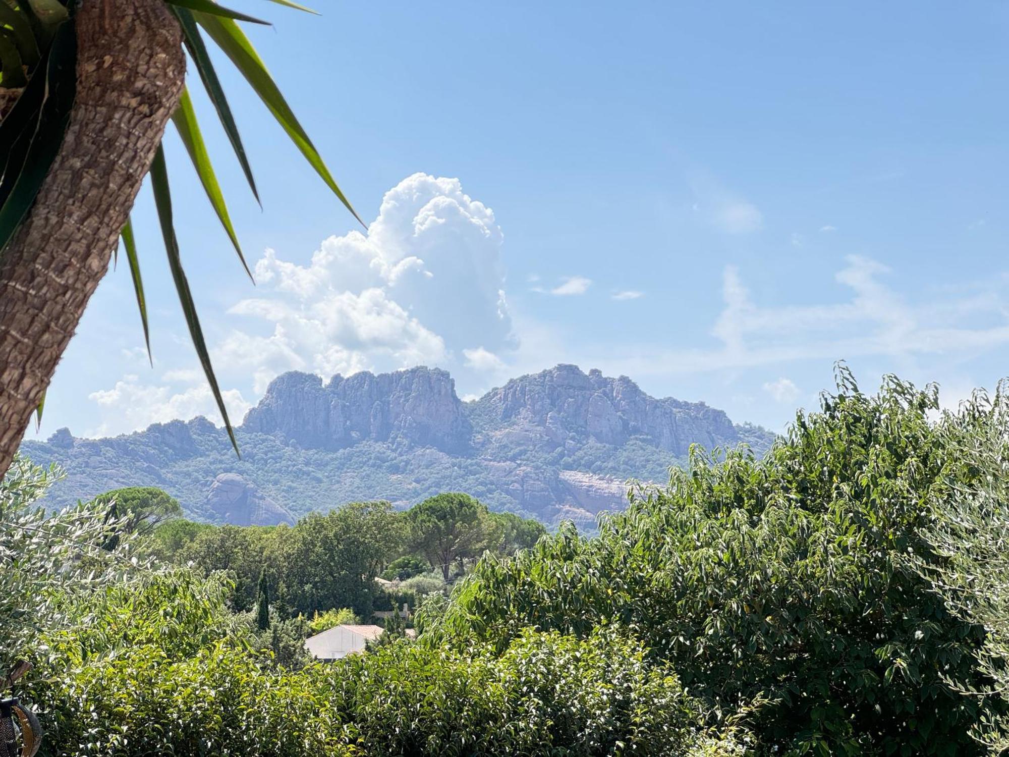 2 Hebergements - 10 Couchages - Parking, Piscine, Jacuzzi - Convivialite Roquebrune-sur Argens Exteriér fotografie